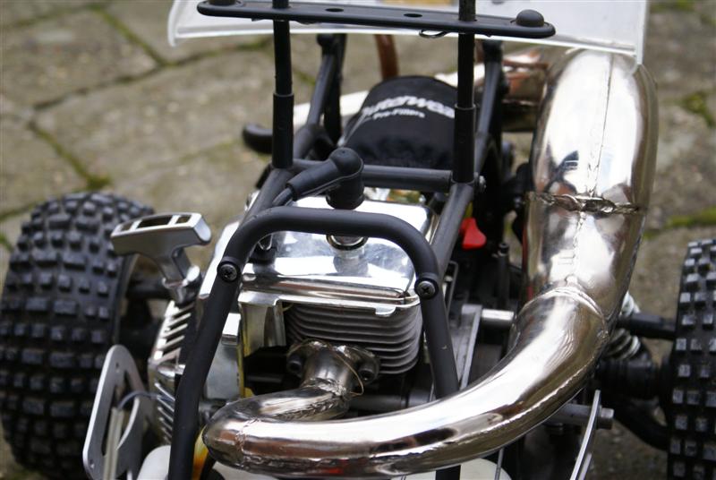 Beetle2 (Medium).jpg